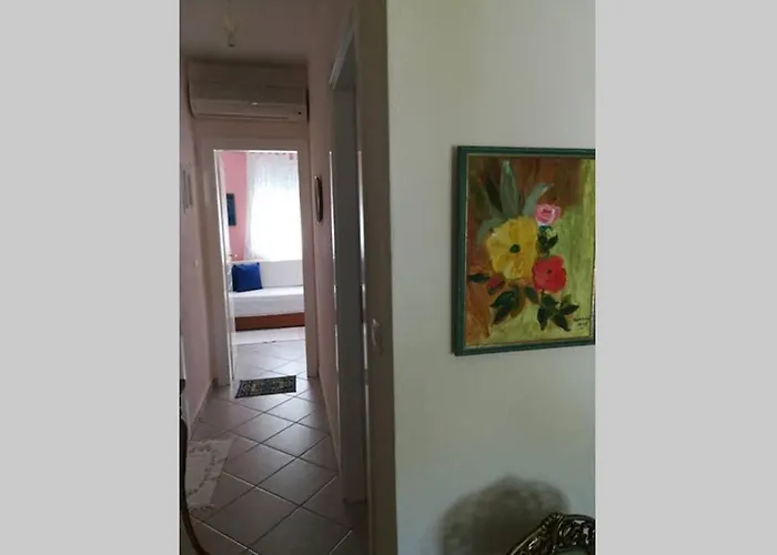 Paradiso