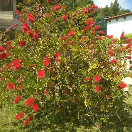 Paradiso Ormos Panagias