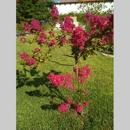 Paradiso Appartement *